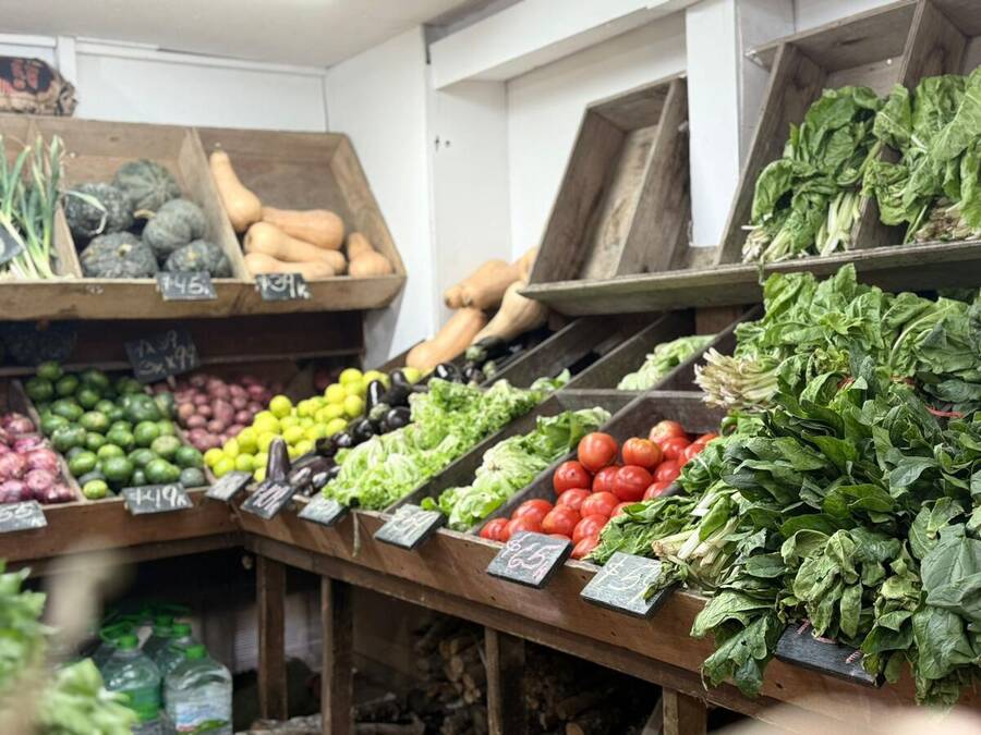 Frutas y verduras