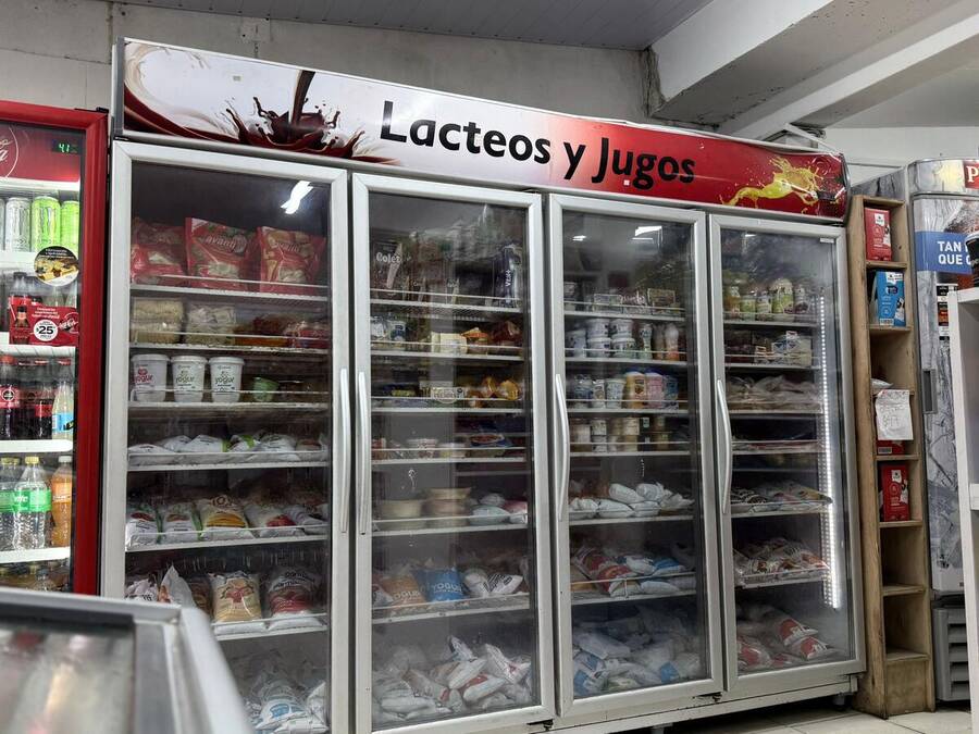 Lácteos